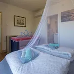 In 39440 Ferienhaus *